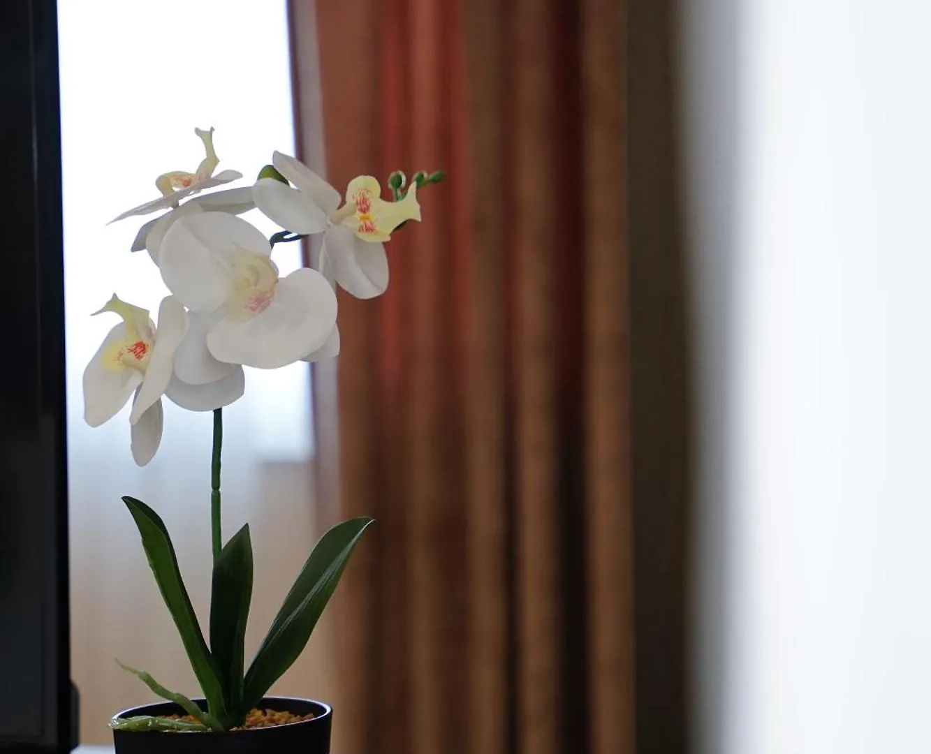 Doanesia Premium Hotel & Spa Tirana